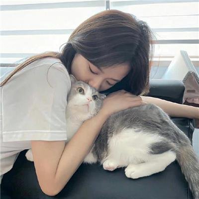 小犬子封面